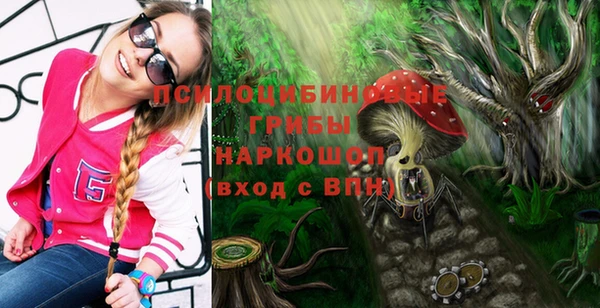 гидропоника Богданович