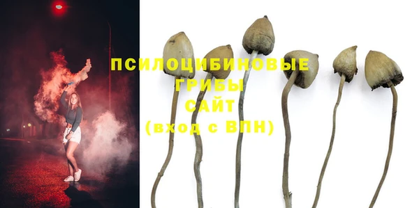 прущая мука Балахна